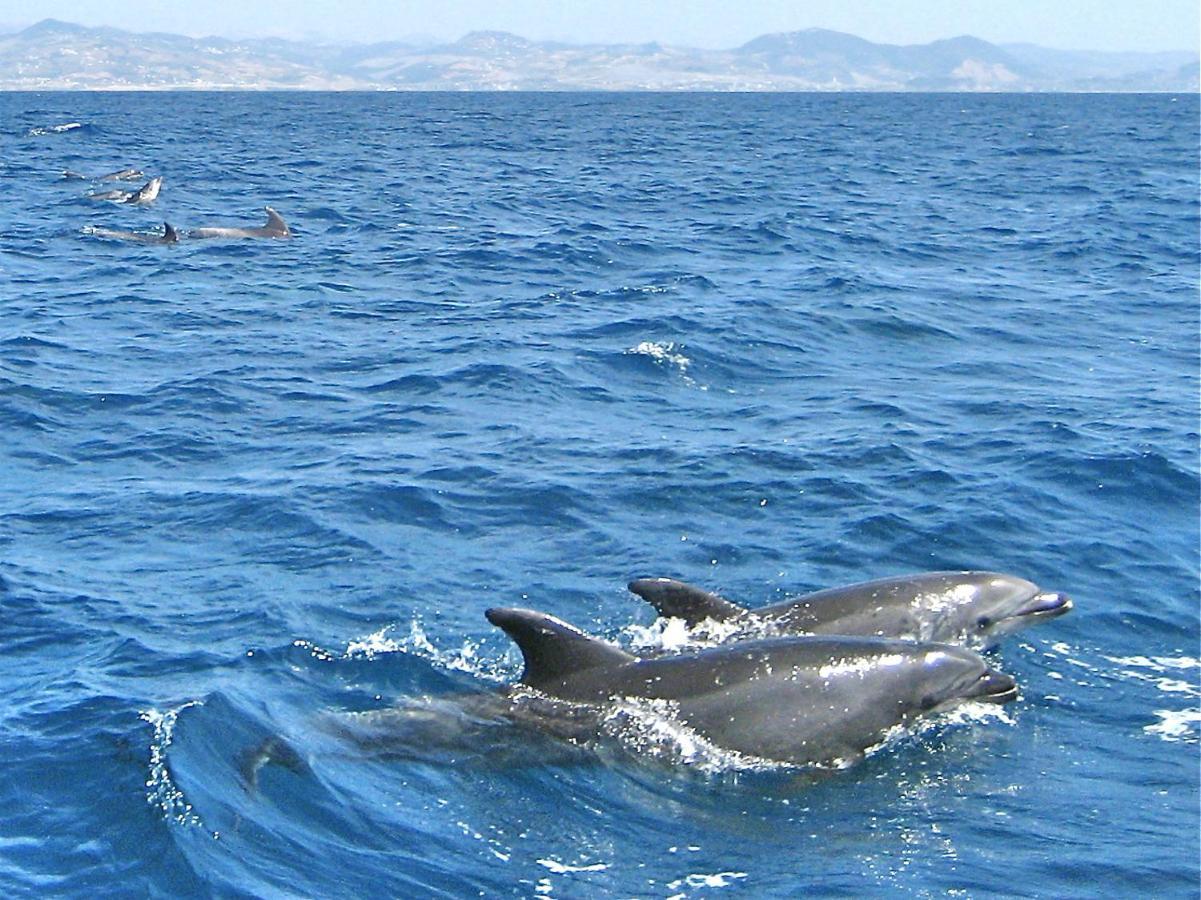 Finca Meerlust - Las Ballenas Los Canos De Meca Exterior foto